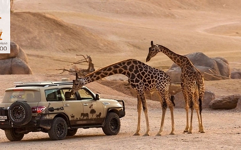 al ain zoo