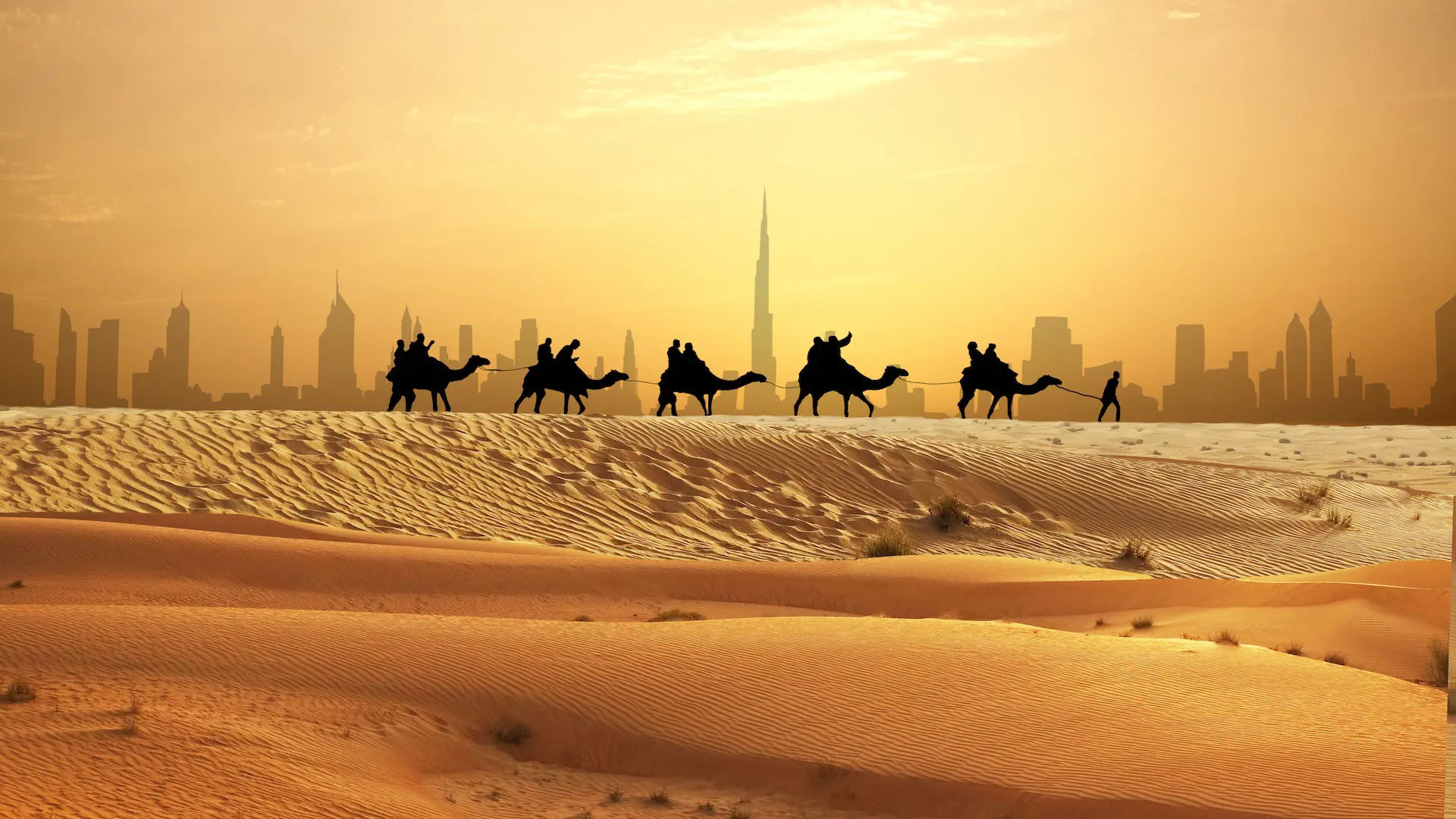featured dubai safari